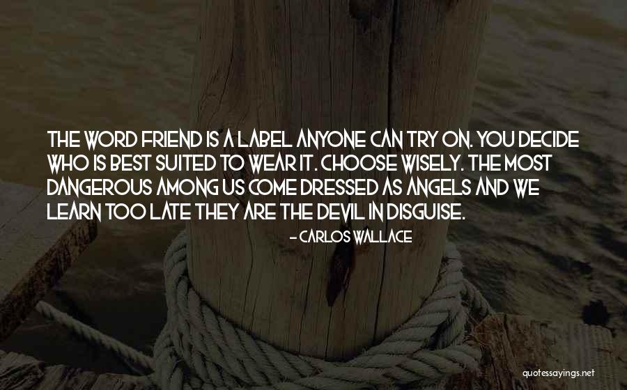 Angels Among Us Quotes By Carlos Wallace