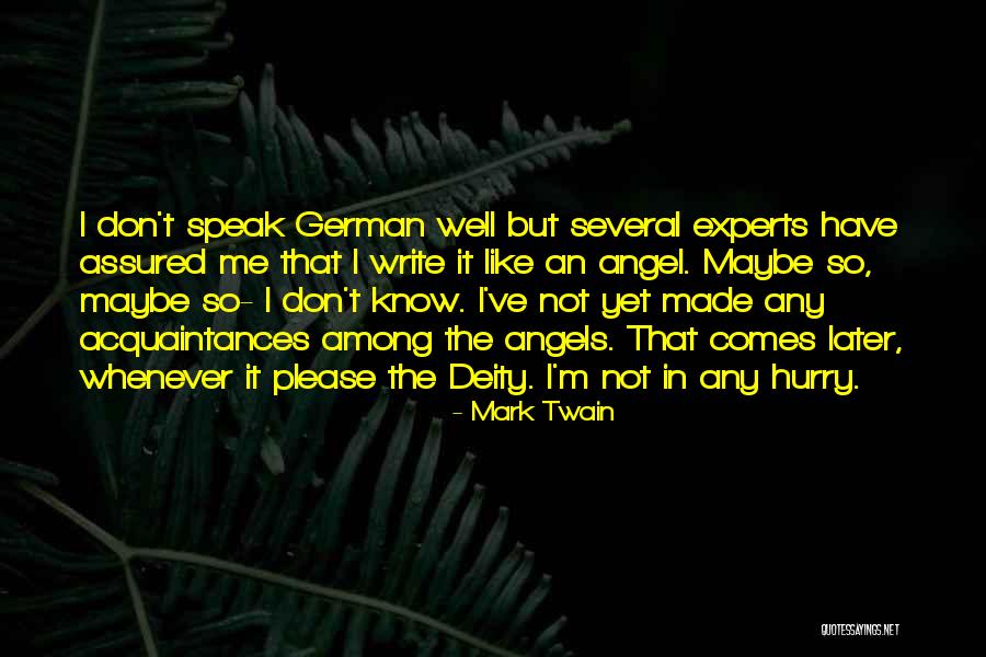 Angels Among Us Quotes By Mark Twain