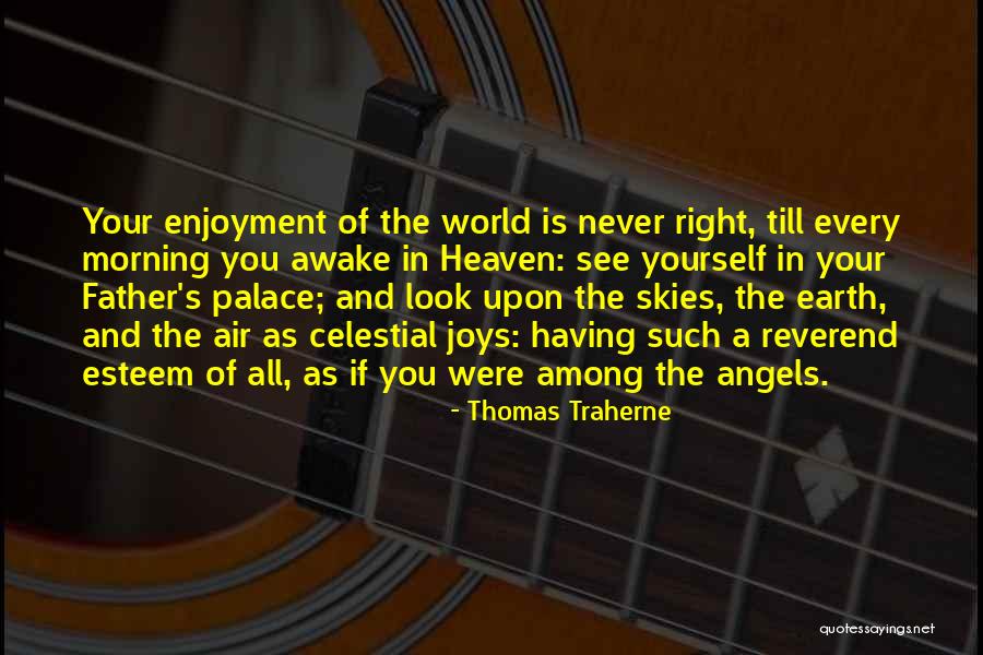 Angels Among Us Quotes By Thomas Traherne