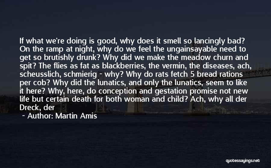 Angels And Death Quotes By Martin Amis