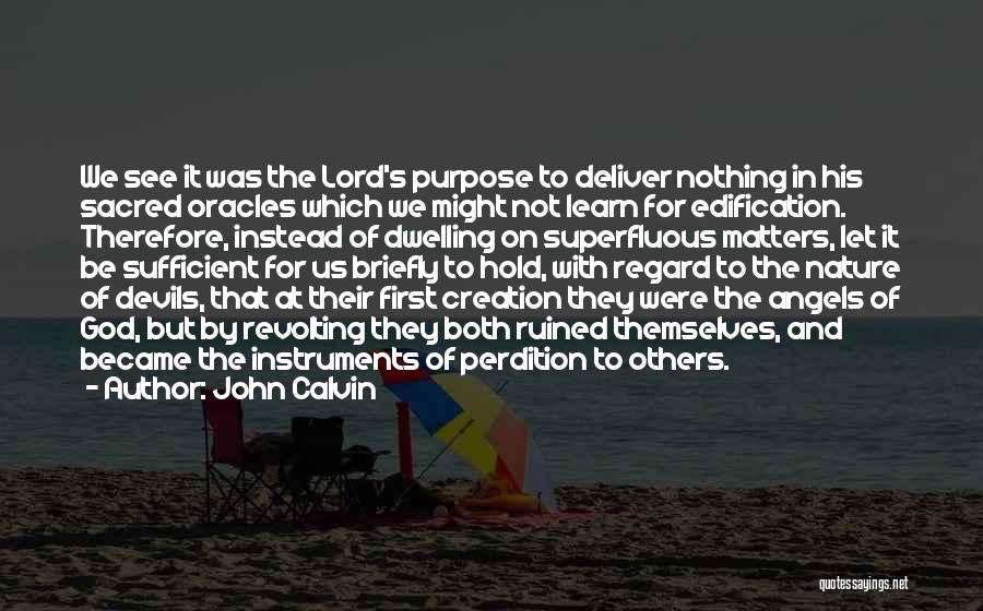 Angels And Devils Quotes By John Calvin