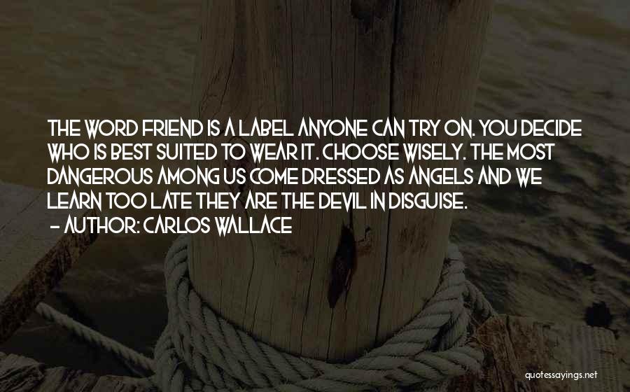 Angels And Friendship Quotes By Carlos Wallace