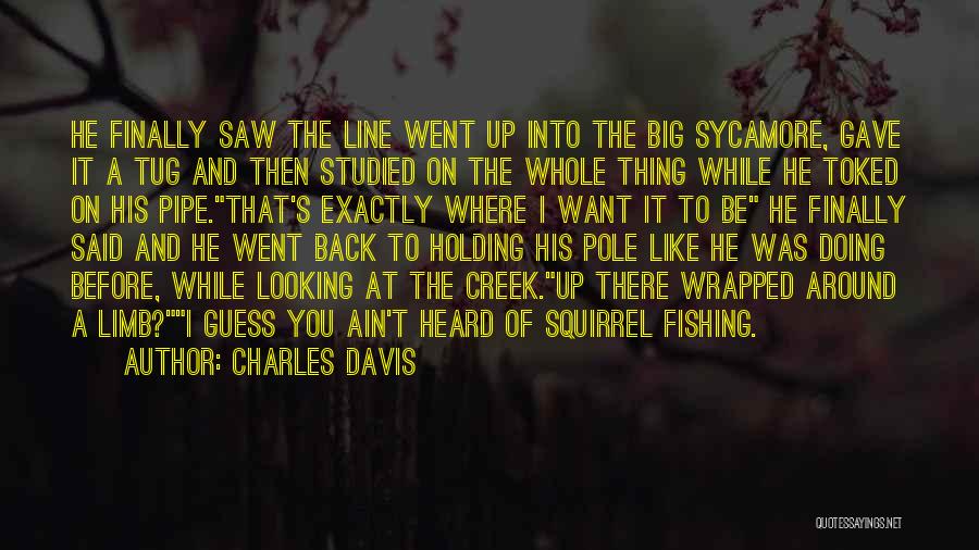 Angels Around You Quotes By Charles Davis