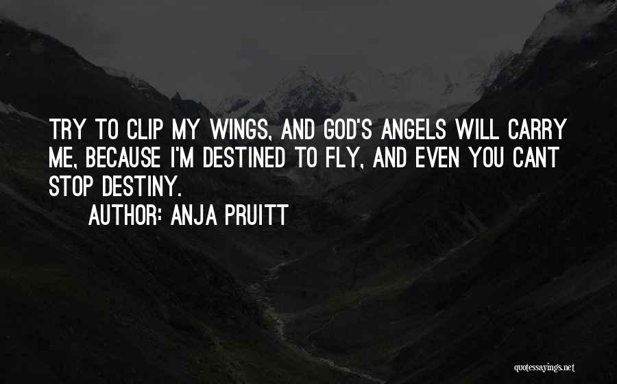 Angels Can Fly Quotes By Anja Pruitt