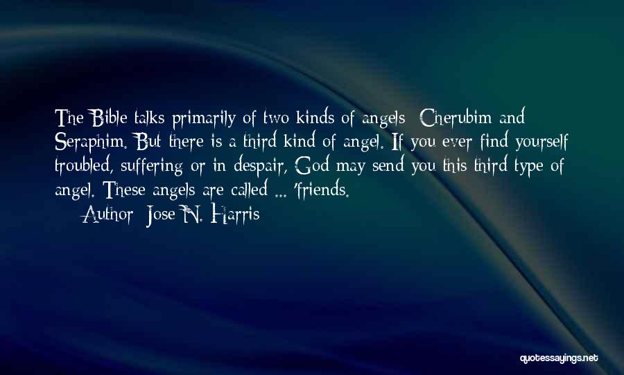 Angels Friendship Quotes By Jose N. Harris