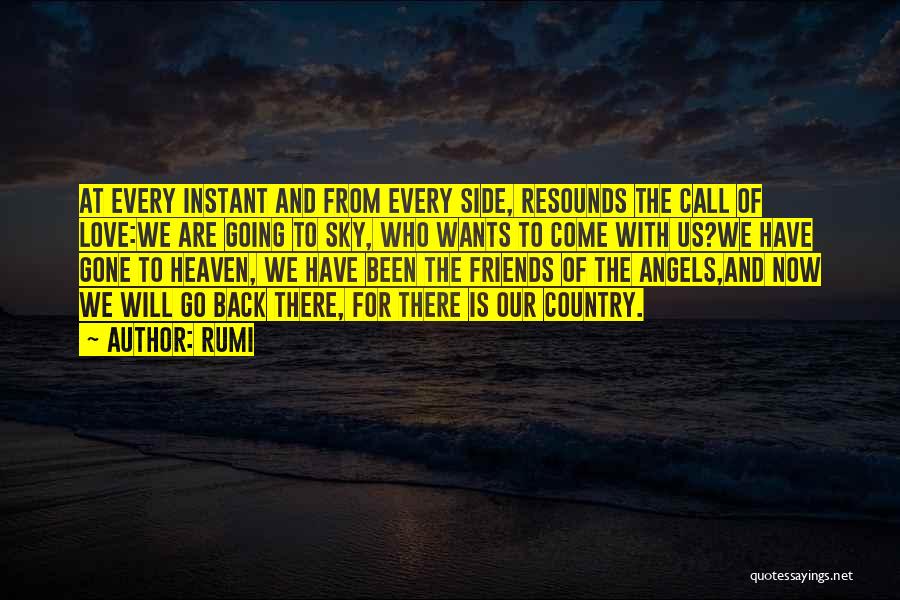 Angels Going To Heaven Quotes By Rumi