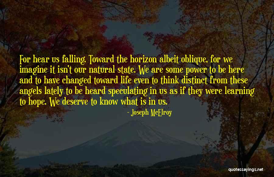 Angels In Our Life Quotes By Joseph McElroy