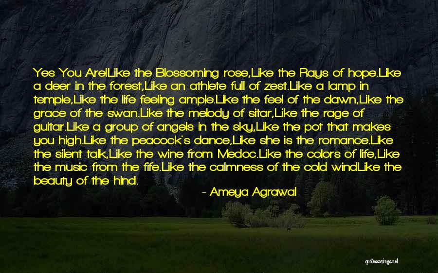 Angels In The Sky Quotes By Ameya Agrawal Angels In The Sky Quotes By Ameya Agrawal