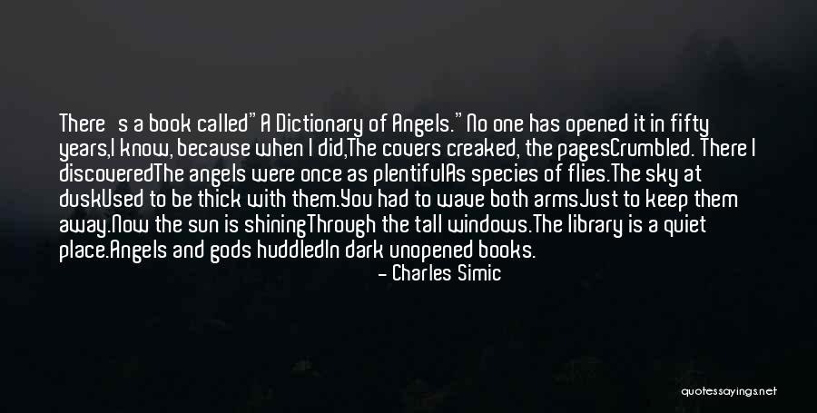 Angels In The Sky Quotes By Charles Simic Angels In The Sky Quotes By Charles Simic