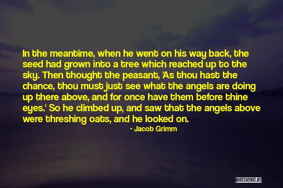 Angels In The Sky Quotes By Jacob Grimm Angels In The Sky Quotes By Jacob Grimm