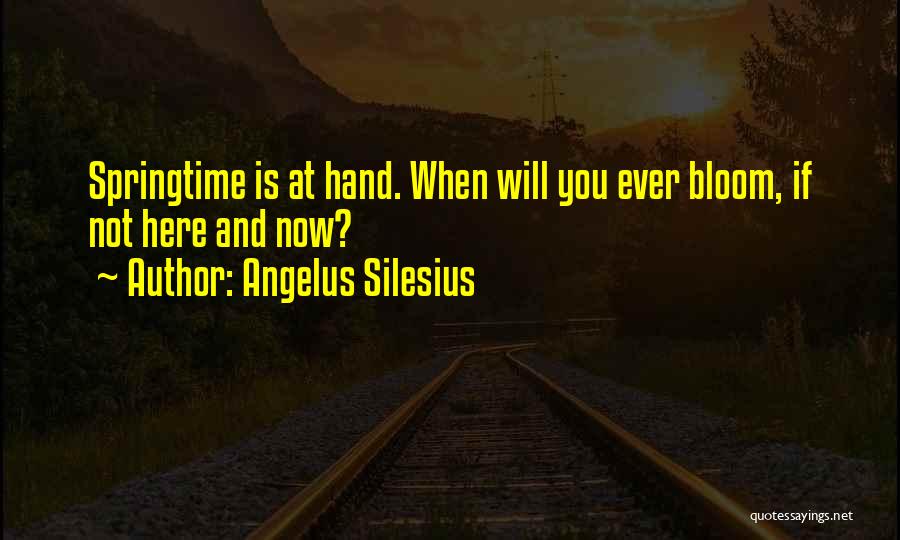 Angelus Quotes By Angelus Silesius