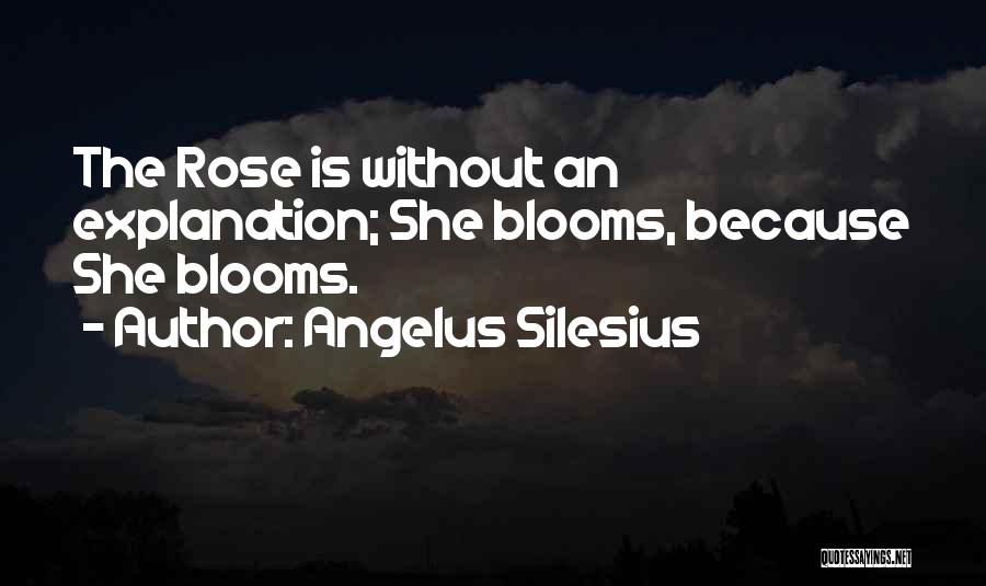 Angelus Quotes By Angelus Silesius