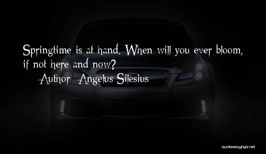 Angelus Silesius Quotes 1923582