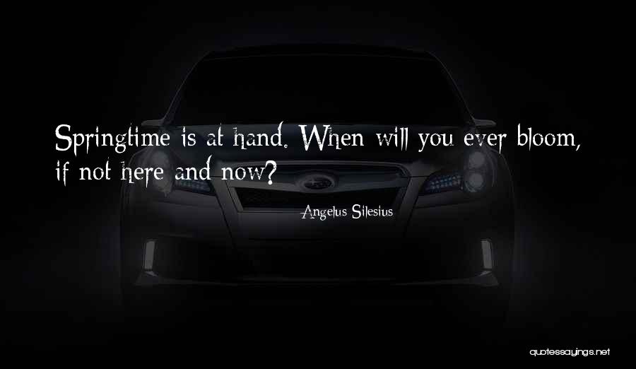 Angelus Silesius Quotes 1923582 Angelus Silesius Quotes 1923582