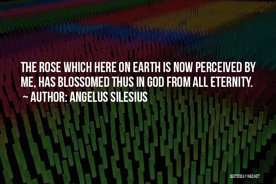 Angelus Silesius Quotes 2010646