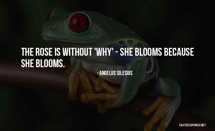 Angelus Silesius Quotes 2079486 Angelus Silesius Quotes 2079486