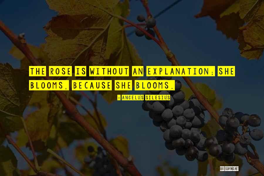 Angelus Silesius Quotes 938567 Angelus Silesius Quotes 938567