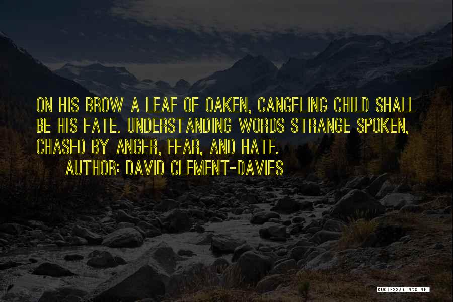 Anger And Fear Quotes By David Clement-Davies