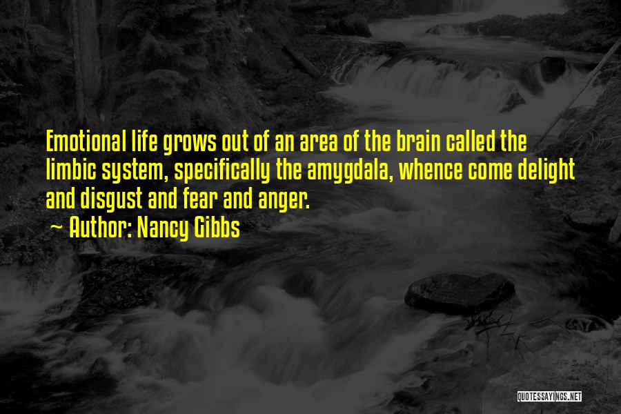 Anger And Fear Quotes By Nancy Gibbs