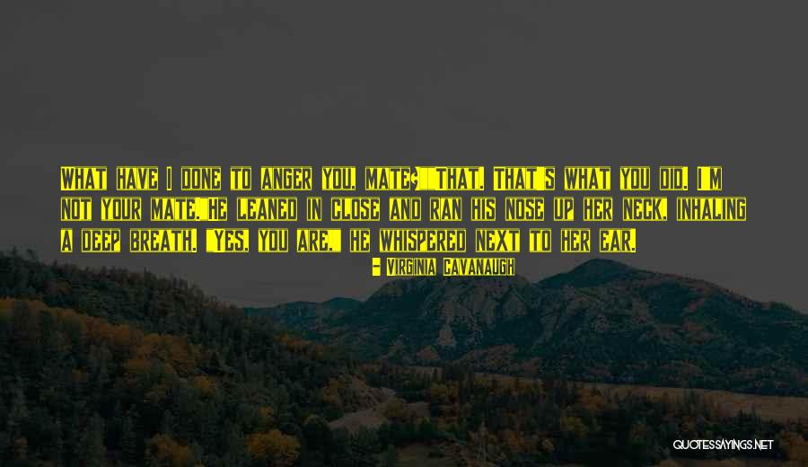 Anger And Fire Quotes By Virginia Cavanaugh Anger And Fire Quotes By Virginia Cavanaugh