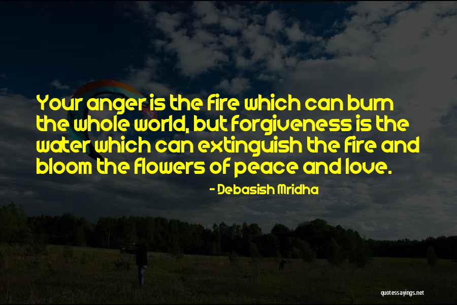 Anger And Happiness Quotes By Debasish Mridha