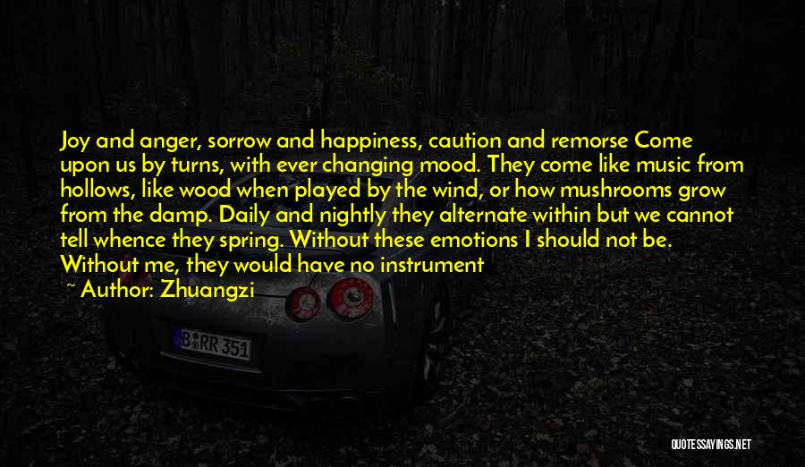 Anger And Happiness Quotes By Zhuangzi