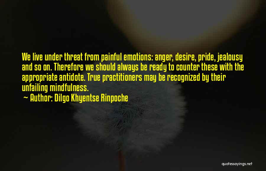 Anger And Jealousy Quotes By Dilgo Khyentse Rinpoche