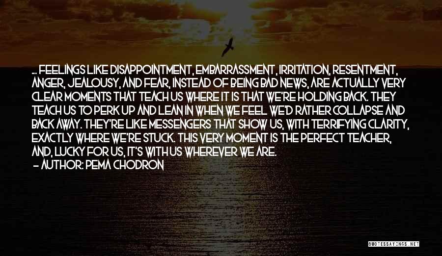 Anger And Jealousy Quotes By Pema Chodron