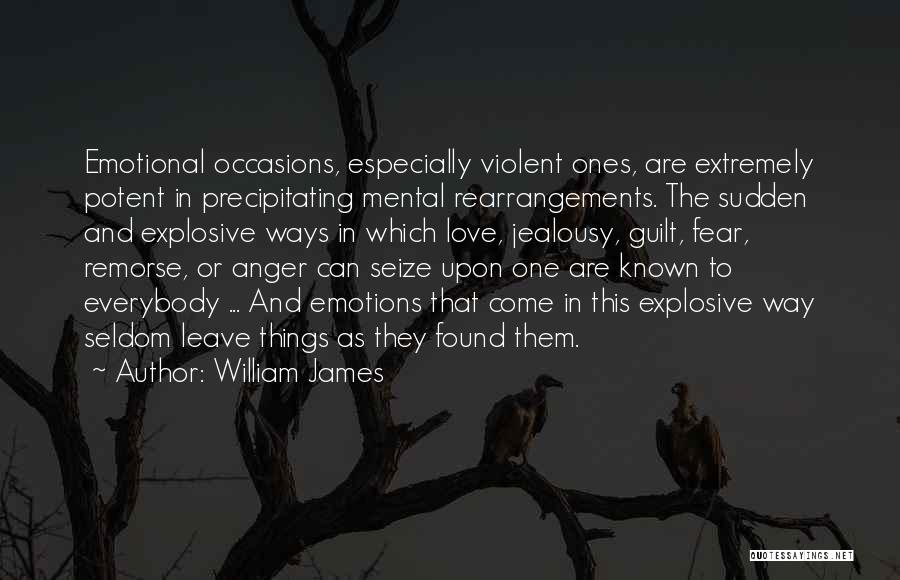 Anger And Jealousy Quotes By William James