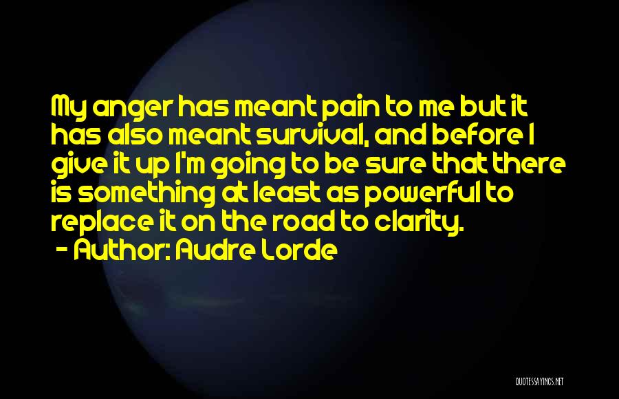 Anger And Pain Quotes By Audre Lorde