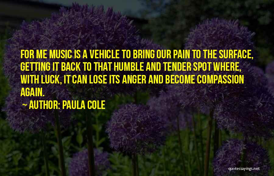 Anger And Pain Quotes By Paula Cole