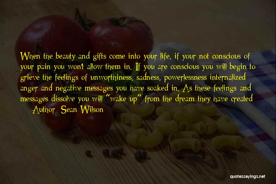 Anger And Pain Quotes By Sean Wilson