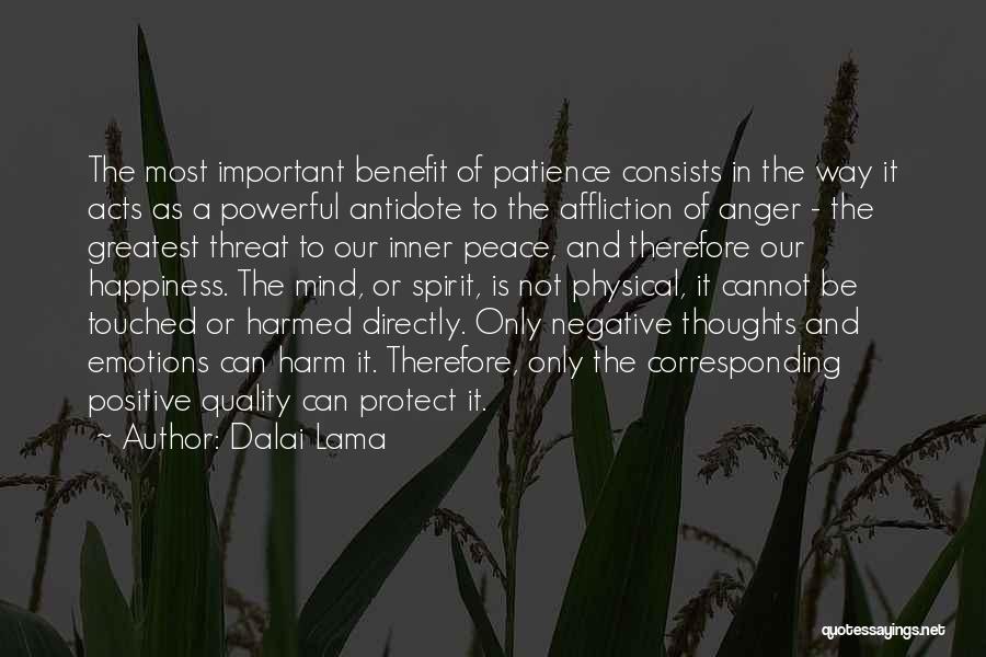 Anger And Patience Quotes By Dalai Lama