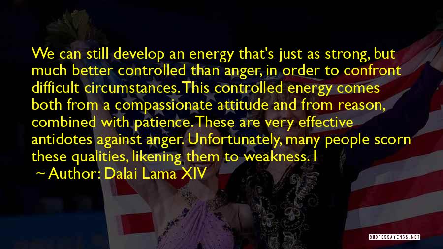 Anger And Patience Quotes By Dalai Lama XIV