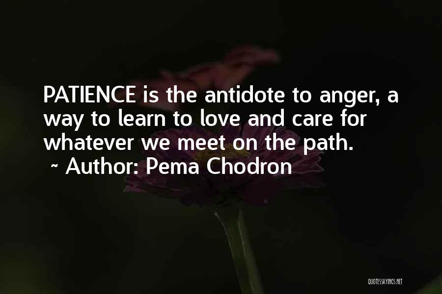 Anger And Patience Quotes By Pema Chodron