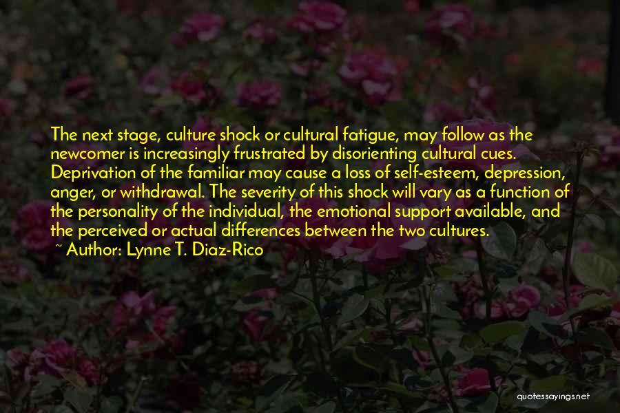 Anger And Quotes By Lynne T. Diaz-Rico