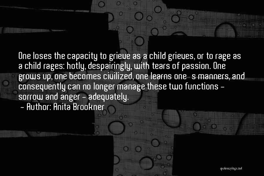 Anger And Rage Quotes By Anita Brookner