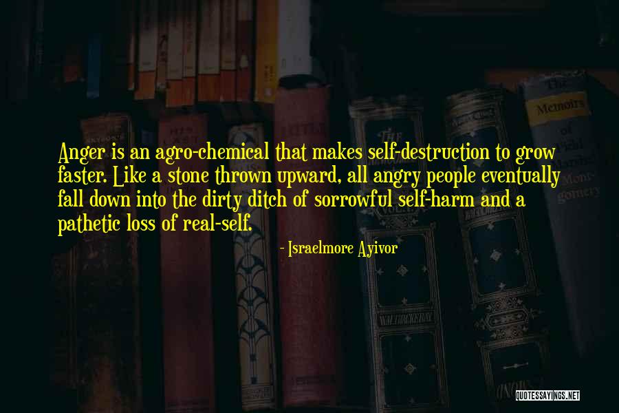 Anger And Self Destruction Quotes By Israelmore Ayivor Anger And Self Destruction Quotes By Israelmore Ayivor