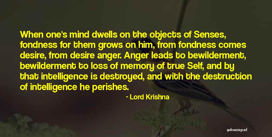 Anger And Self Destruction Quotes By Lord Krishna Anger And Self Destruction Quotes By Lord Krishna