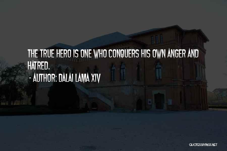 Anger Conquers Quotes By Dalai Lama XIV