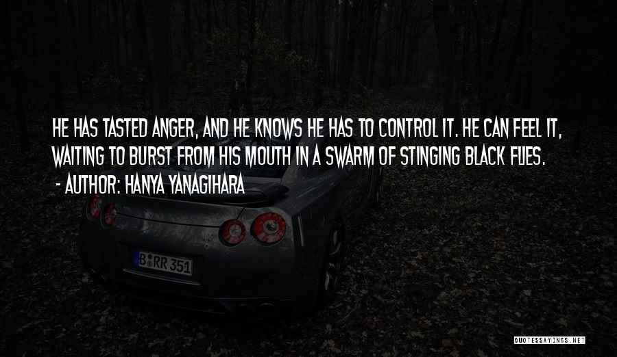 Anger Control Quotes By Hanya Yanagihara