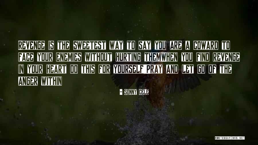 Anger In Your Heart Quotes By Sonny Cele Anger In Your Heart Quotes By Sonny Cele