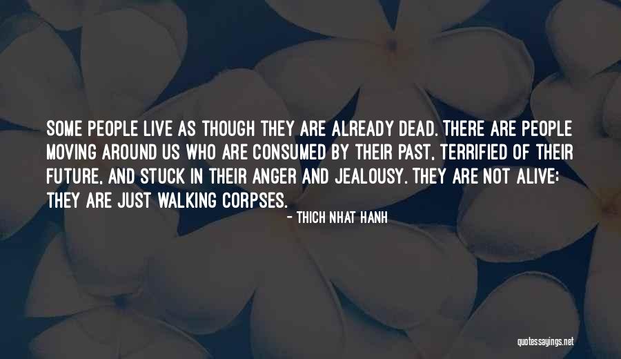 Anger Jealousy Quotes By Thich Nhat Hanh Anger Jealousy Quotes By Thich Nhat Hanh