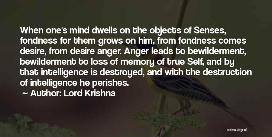 Anger Leads To Destruction Quotes By Lord Krishna