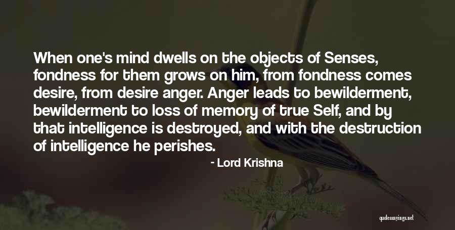 Anger Leads To Destruction Quotes By Lord Krishna