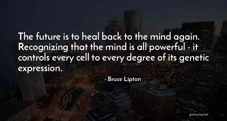 Anger Leads To Suffering Quotes By Bruce Lipton Anger Leads To Suffering Quotes By Bruce Lipton