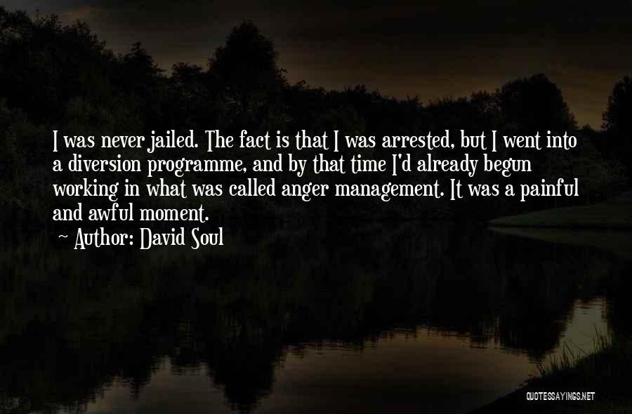 Anger Management Quotes By David Soul