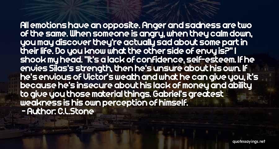 Anger To Someone Quotes By C.L.Stone