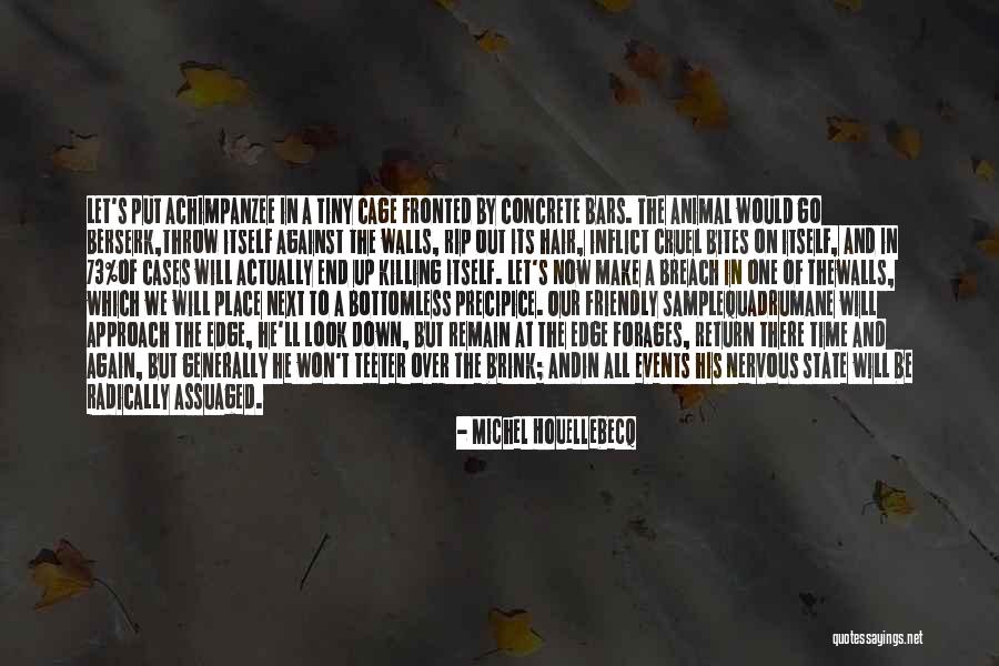 Anggapan Tentang Quotes By Michel Houellebecq Anggapan Tentang Quotes By Michel Houellebecq