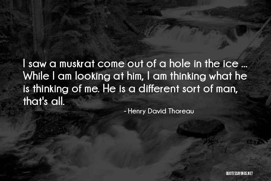 Anghusa Quotes By Henry David Thoreau Anghusa Quotes By Henry David Thoreau